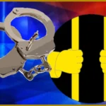 Attempted Kidnapping of Police Officer's Son Thwarted in Worli