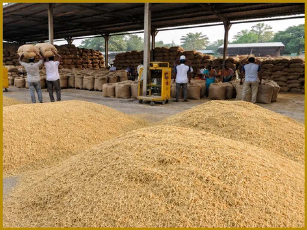 Tamil Nadu Tightens Monitoring at Paddy Purchase Centres Amid Samba Harvest