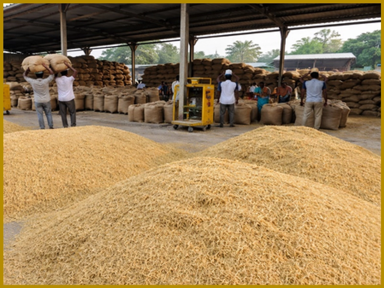 Tamil Nadu Tightens Monitoring at Paddy Purchase Centres Amid Samba Harvest