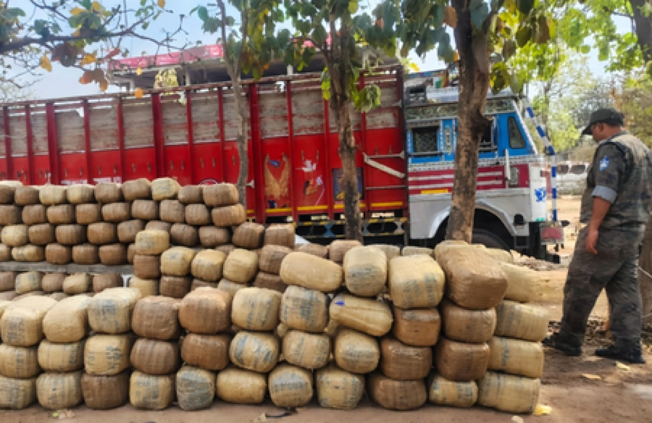 Major Drug Bust in Jharkhand: 2 Crore Worth of Cannabis Seized