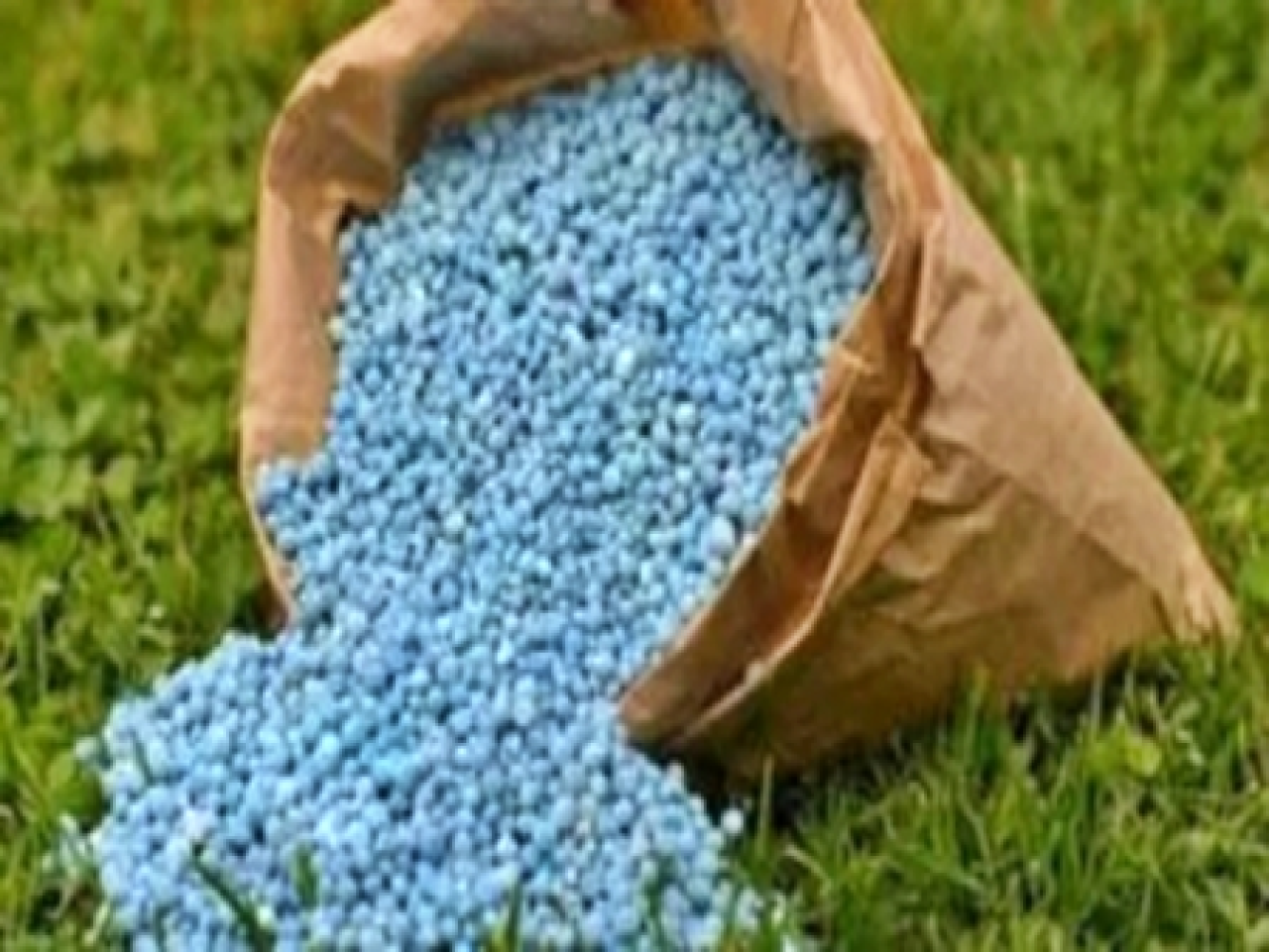 Surge in Fertilizer Subsidy Due to West Asia Crisis