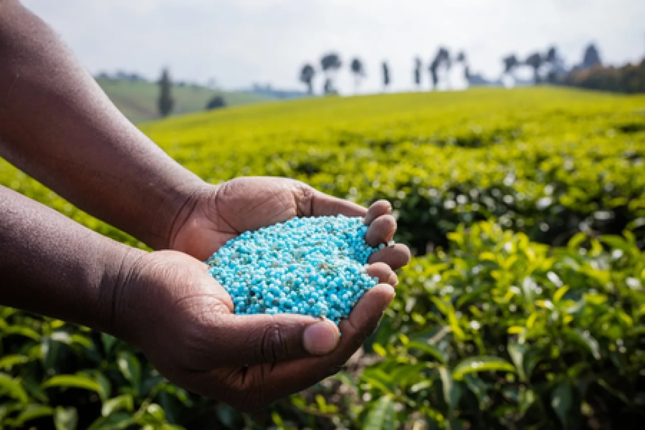 US Senate Debates Fertilizer Purchases, Highlights Indias Role in Pricing